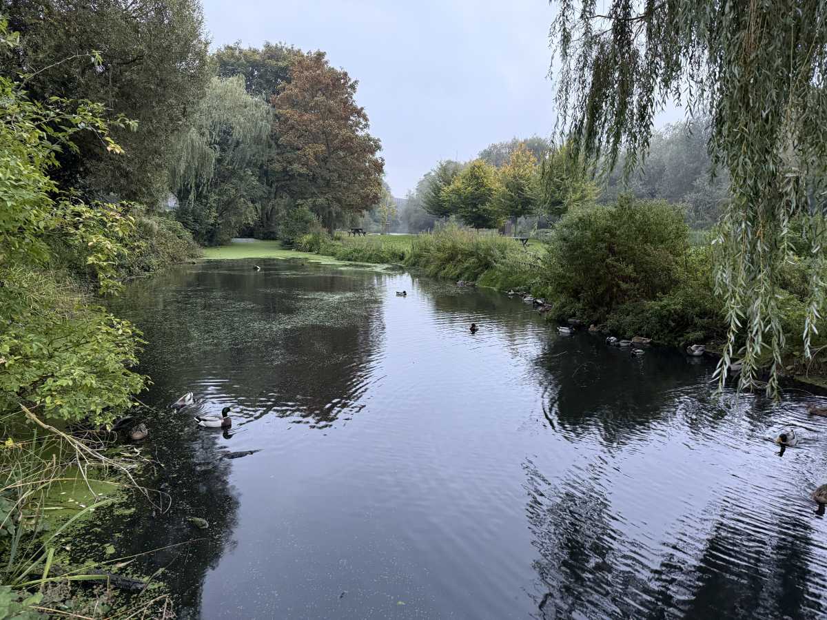 apple iphone 16 pro camera sample 2