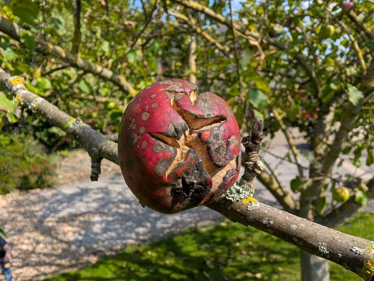 Google Pixel 9 camera samples 17
